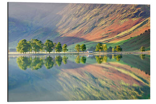 Stampa su alluminio Landscape reflecting in a lake