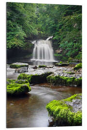 Gallery Print Westburton Wasserfall