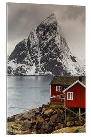 Gallery Print Lofoten Oldstind