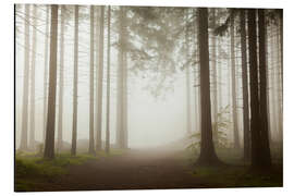 Magnettafel Zauberwald - Nebel