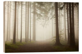 Wood print Magic Forest - Fog