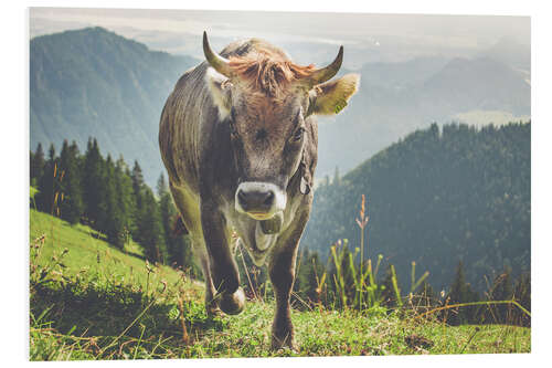 Tableau en PVC Vache de race Allgäu dans les montagnes