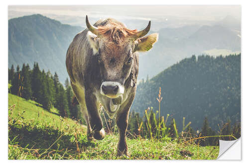 Selvklebende plakat Allgäu ku i fjellet