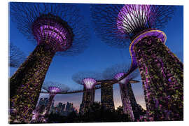 Acrylic print Gardens by the Bay - Singapore