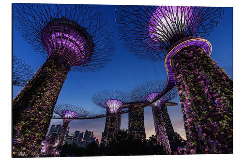 Alumiinitaulu Gardens by the Bay - Singapore