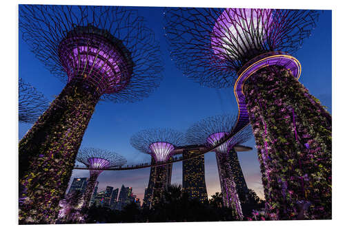 Hartschaumbild Garden By The Bay - Singapur