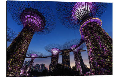 Gallery print Gardens by the Bay - Singapore