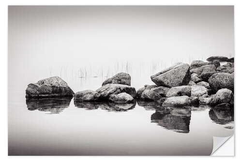 Vinilo para la pared Stones in water