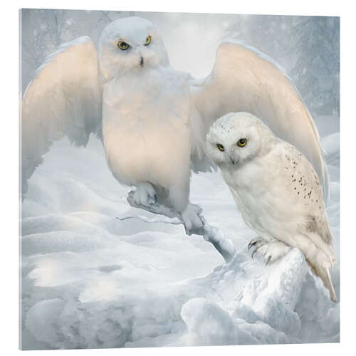 Acrylglasbild Winter owls