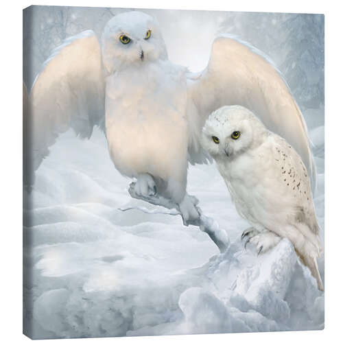 Canvas-taulu Winter owls