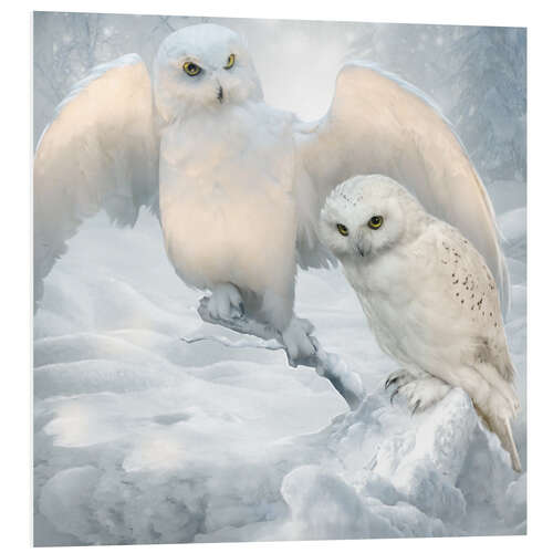 Foam board print Winter owls