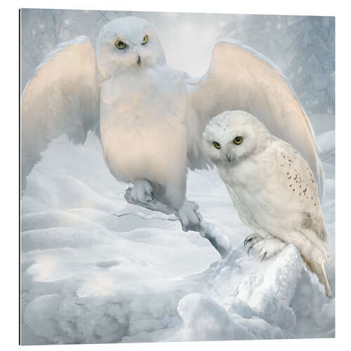 Gallery print Winter owls