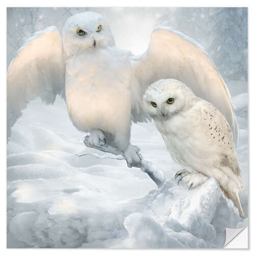 Selvklebende plakat Winter owls