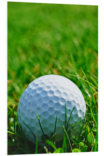 PVC-taulu Golf ball in the grass