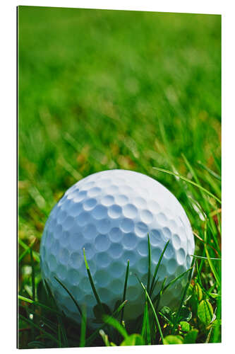 Galleritryk Golf ball in the grass