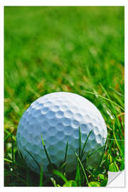 Autocolante decorativo Bola de golfe na erva
