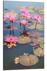 Magnettafel Rosafarbene Lotosblume
