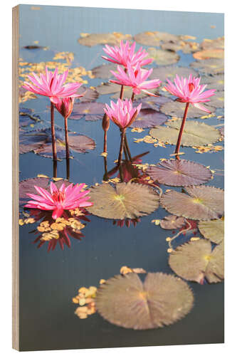 Wood print Pink lotus flower