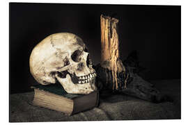 Aluminium print Still Life with Skull