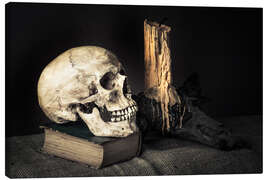 Canvastavla  Still Life with Skull