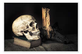 Poster  Nature morte avec un crâne