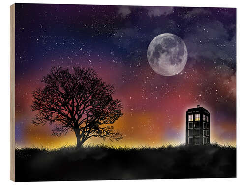 Puutaulu Tardis, Doctor Who