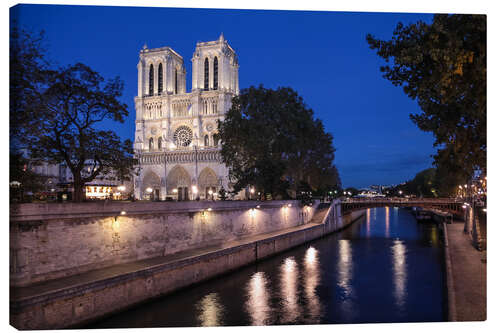 Quadro em tela Notre Dame at night, Paris