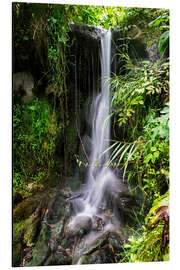 Tableau en aluminium Cascade dans la verdure