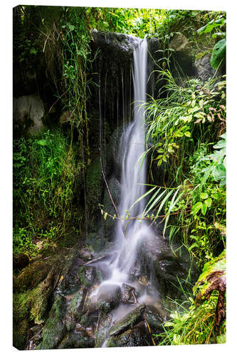 Lærredsbillede Waterfall in Harz