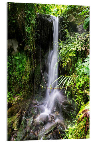 Galleriataulu Waterfall in Harz