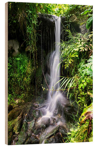 Obraz na drewnie Waterfall in Harz