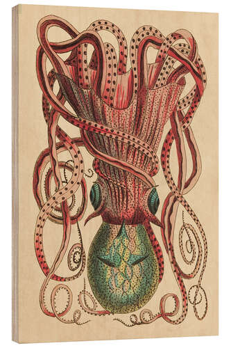 Wood print Octopus, Octopus vulgaris