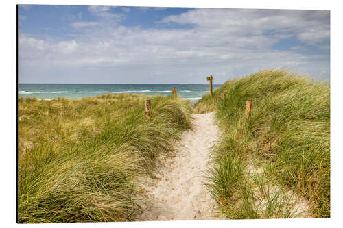 Aluminium print Path in the dunes on the German Baltic Sea