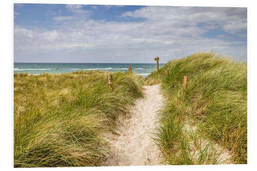 Foam board print Path in the dunes on the German Baltic Sea