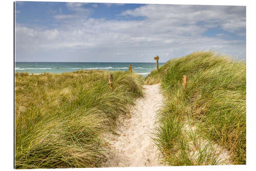 Gallery print Path in the dunes on the German Baltic Sea