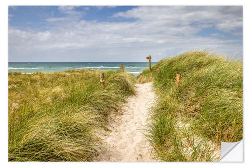 Sisustustarra Path in the dunes on the German Baltic Sea