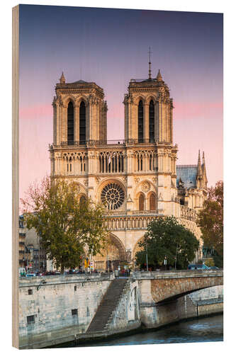 Wood print Notre Dame cathedral at sunset, Paris, France