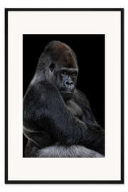 Gerahmter Kunstdruck Der Silberrücken