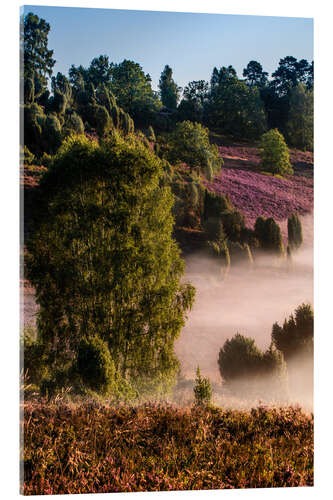 Acrylic print LUNEBURGER HEIDE