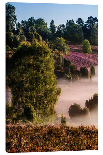 Quadro em tela LUNEBURGER HEIDE