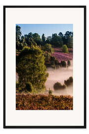 Gerahmter Kunstdruck Lüneburger Heide