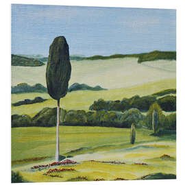 Foam board print Lonely Cypress Tree on Terrapille Close to Pienza Tuscany