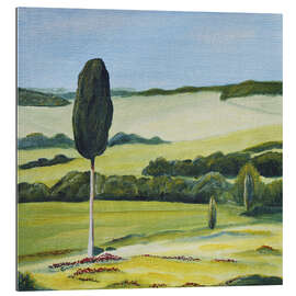 Gallery print Lonely Cypress Tree on Terrapille Close to Pienza Tuscany