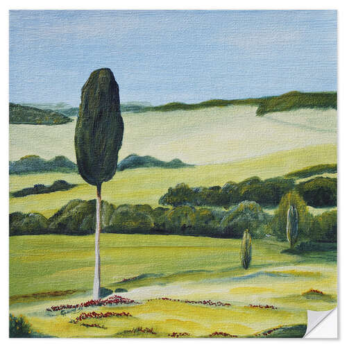 Vinilo para la pared Lonely Cypress Tree on Terrapille Close to Pienza Tuscany