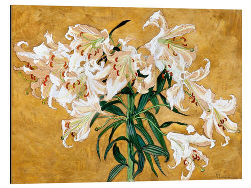 Aluminiumsbilde Lily