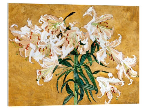 Gallery print Lily