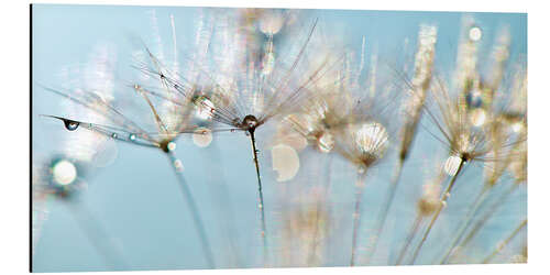 Aluminium print Pusteblume Pastellträume