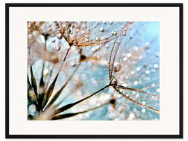 Gerahmter Kunstdruck Pusteblume Bokeh Drops 