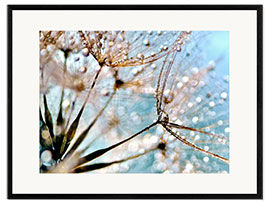 Kehystetty taidepainatus Pusteblume Bokeh Drops 
