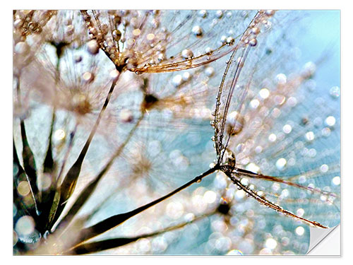 Selvklebende plakat Pusteblume Bokeh Drops 